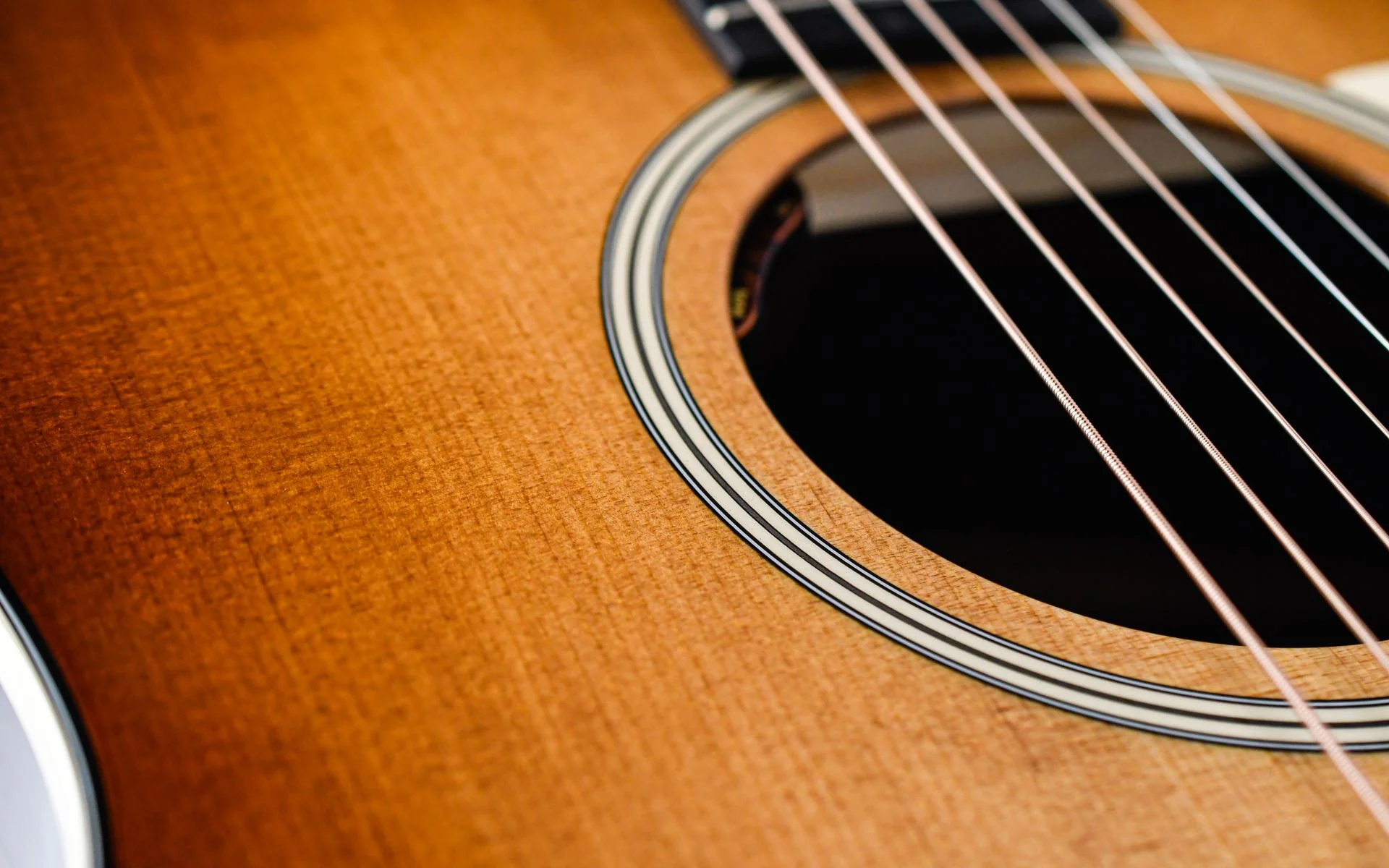 Taylor Gold Label 717e Rosewood Sunburst - Image 11