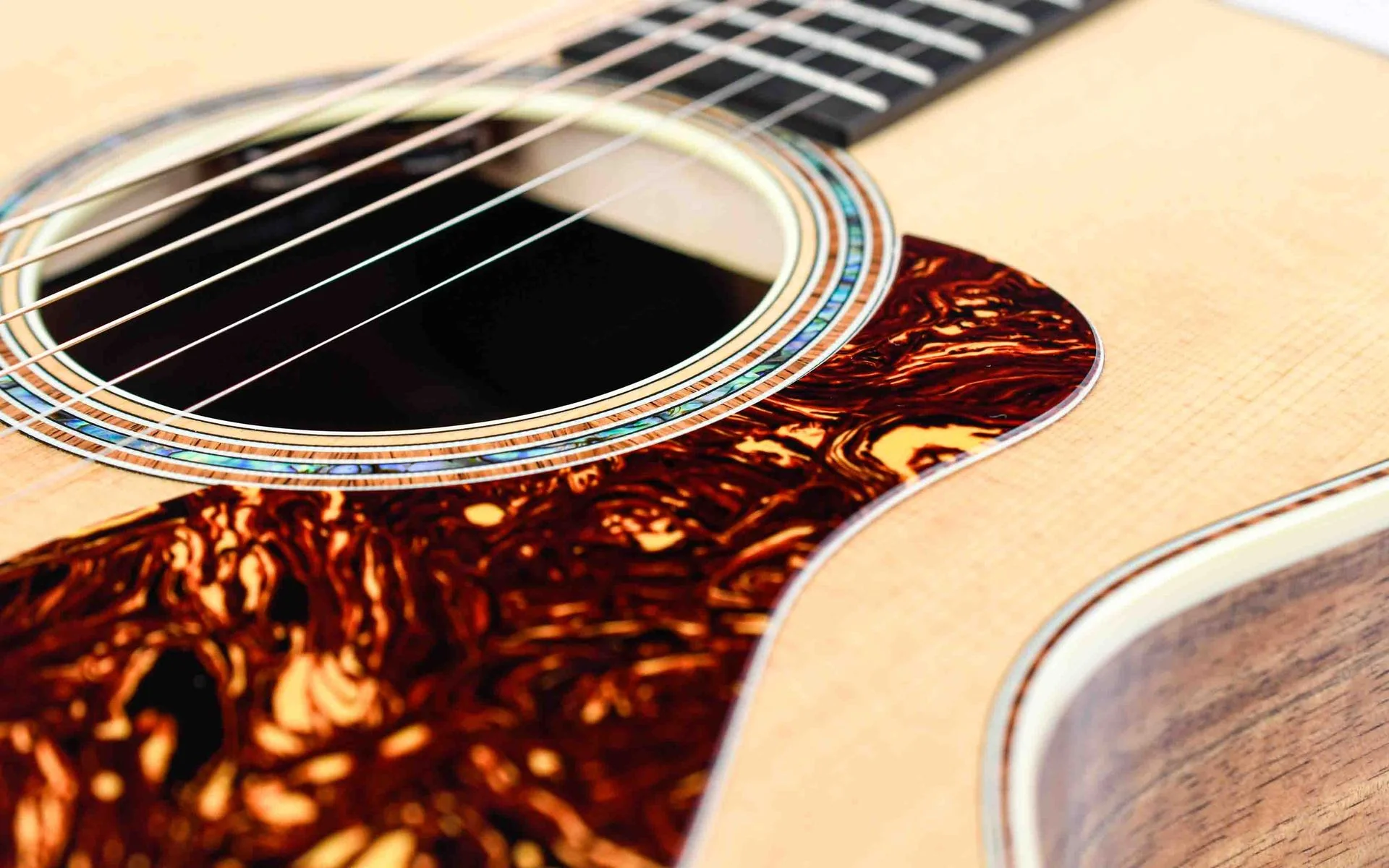 Taylor Gold Label 814e Koa Naturel - Image 11