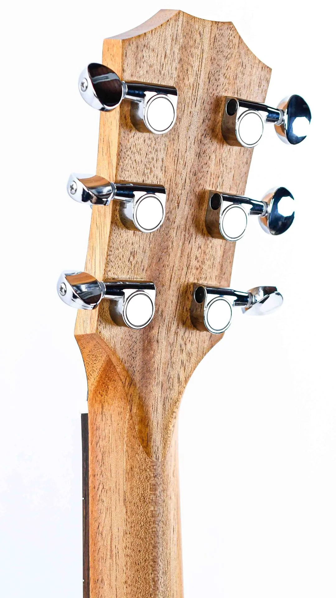 Taylor GS Mini Sapele - Image 6