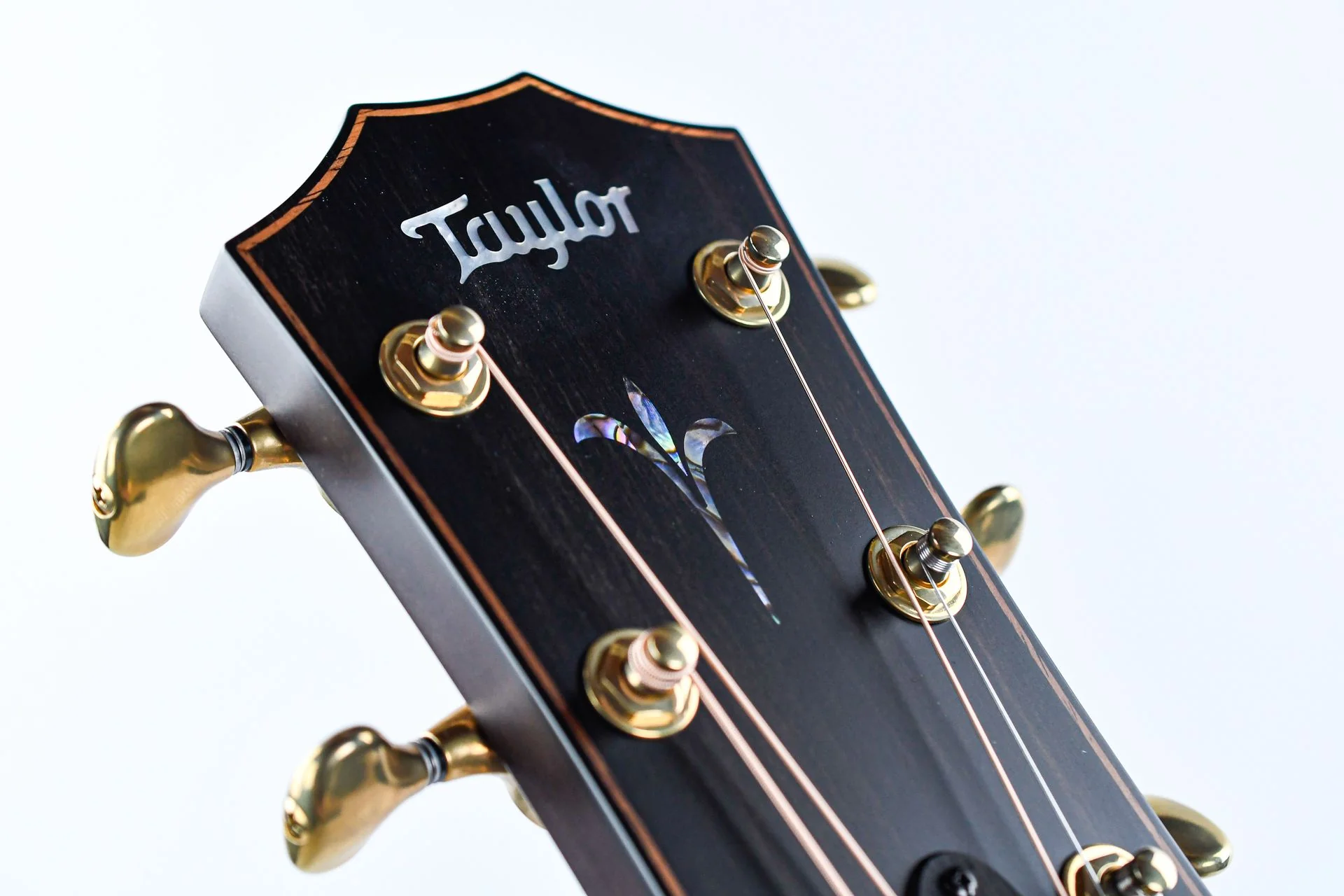 Taylor K24ce Builder's Edition - Image 12