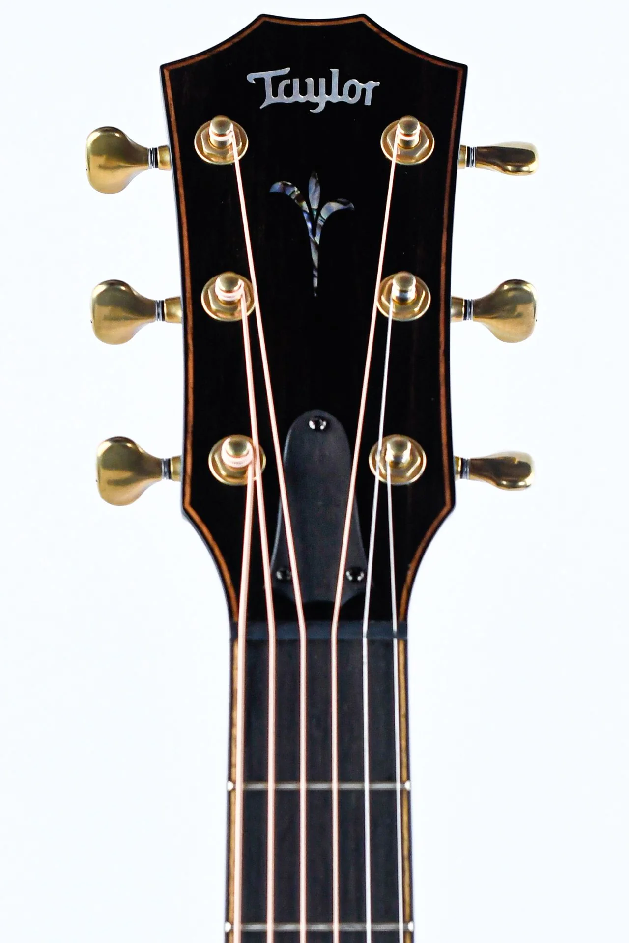 Taylor K24ce Builder's Edition - Image 2