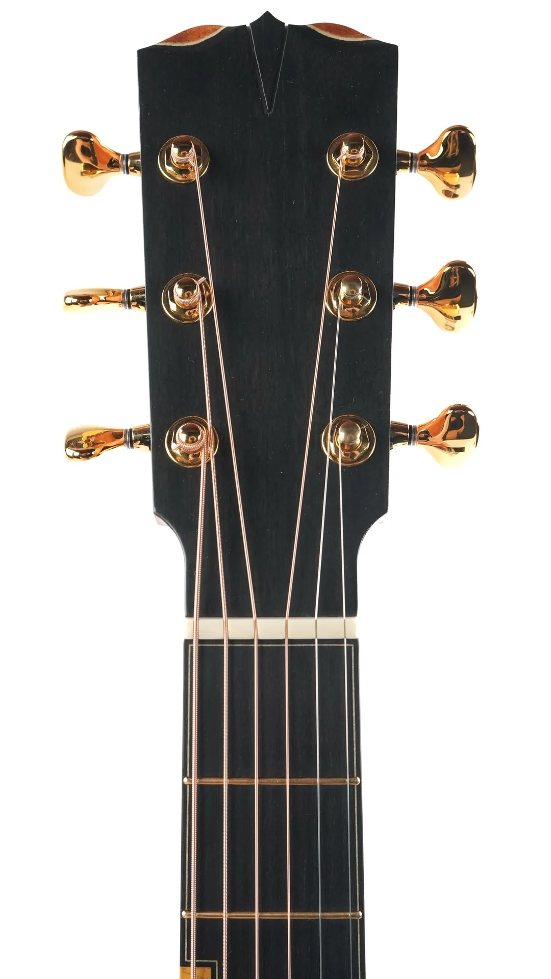 Turnstone TG Ancient Black Oak German Spruce 2024 - Image 2