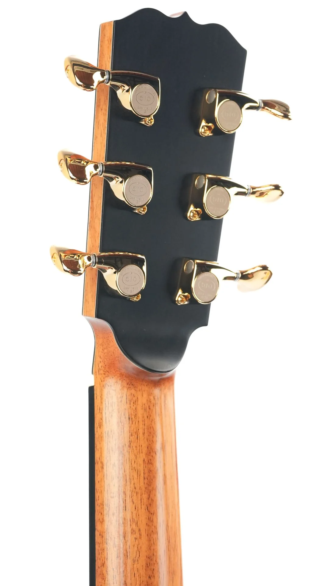 Turnstone TG Ancient Black Oak German Spruce 2024 - Image 6