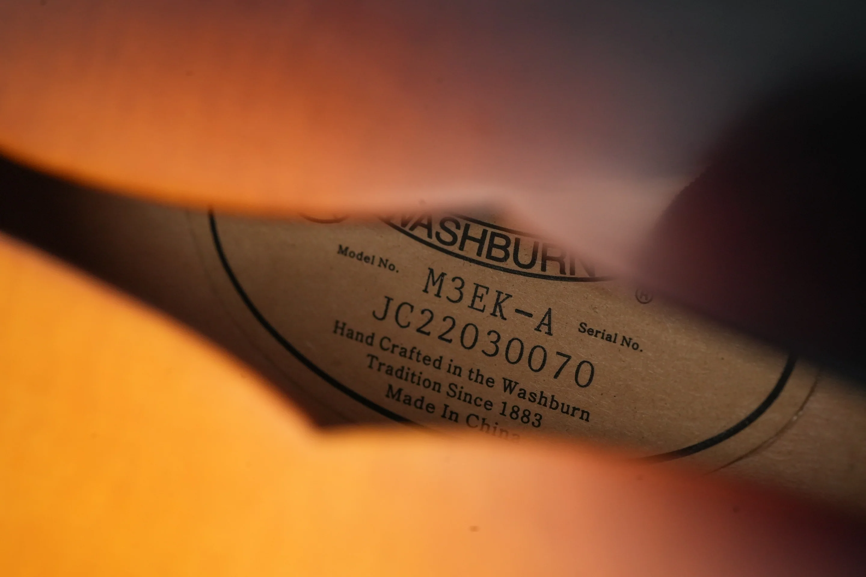 Washburn M3EK-A 2022 - Image 12