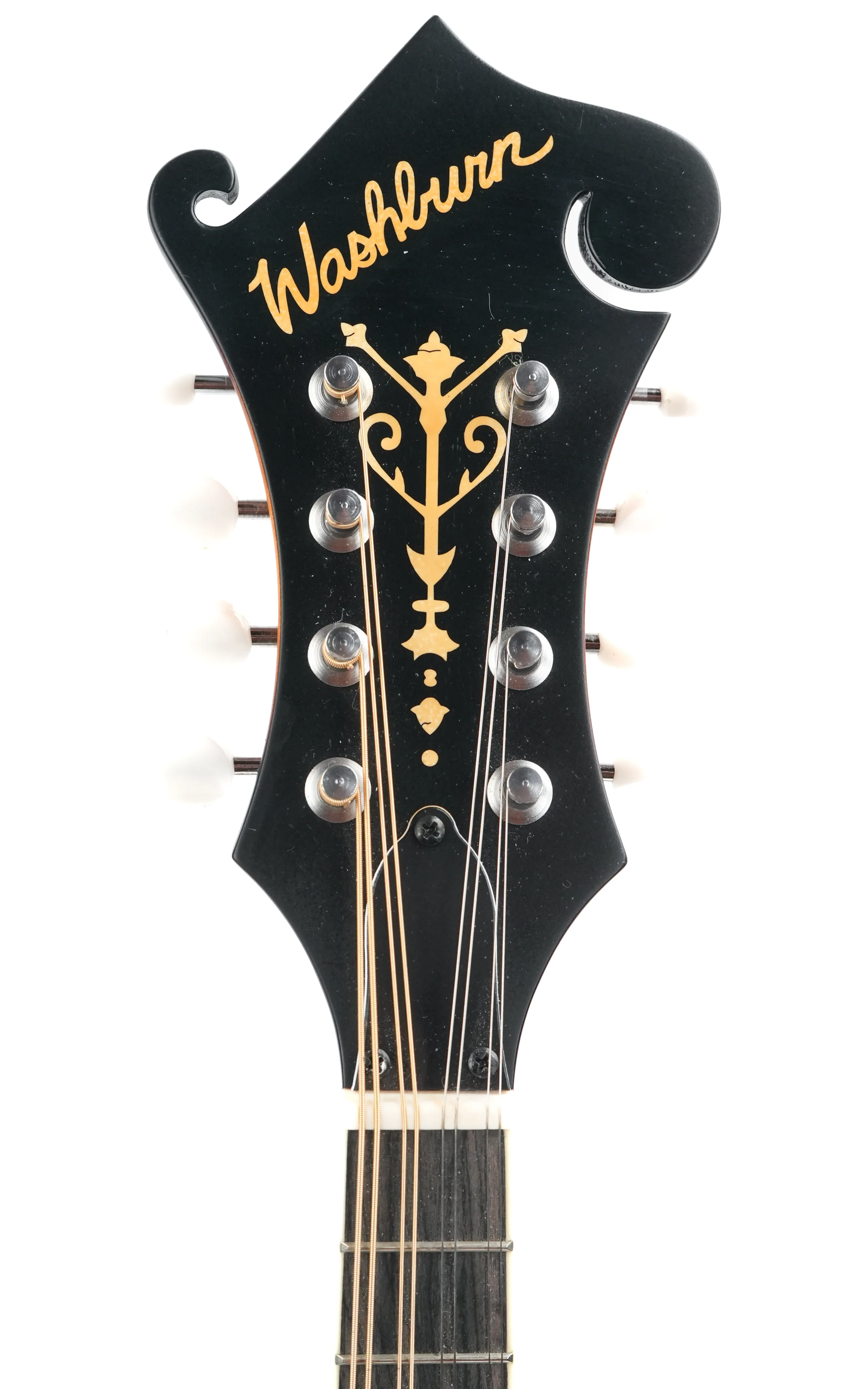 Washburn M3EK-A 2022 - Image 2