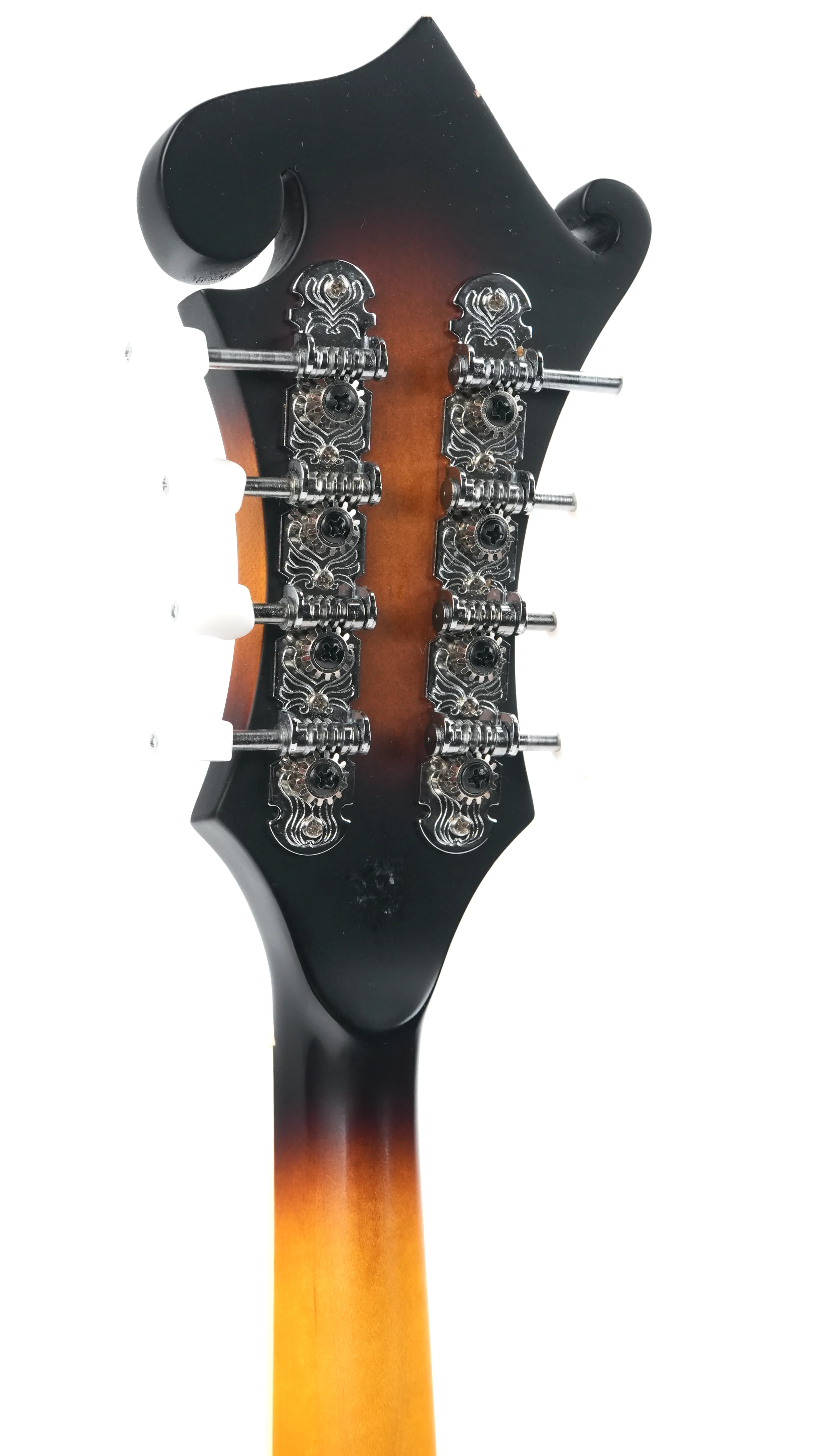 Washburn M3EK-A 2022 - Image 6
