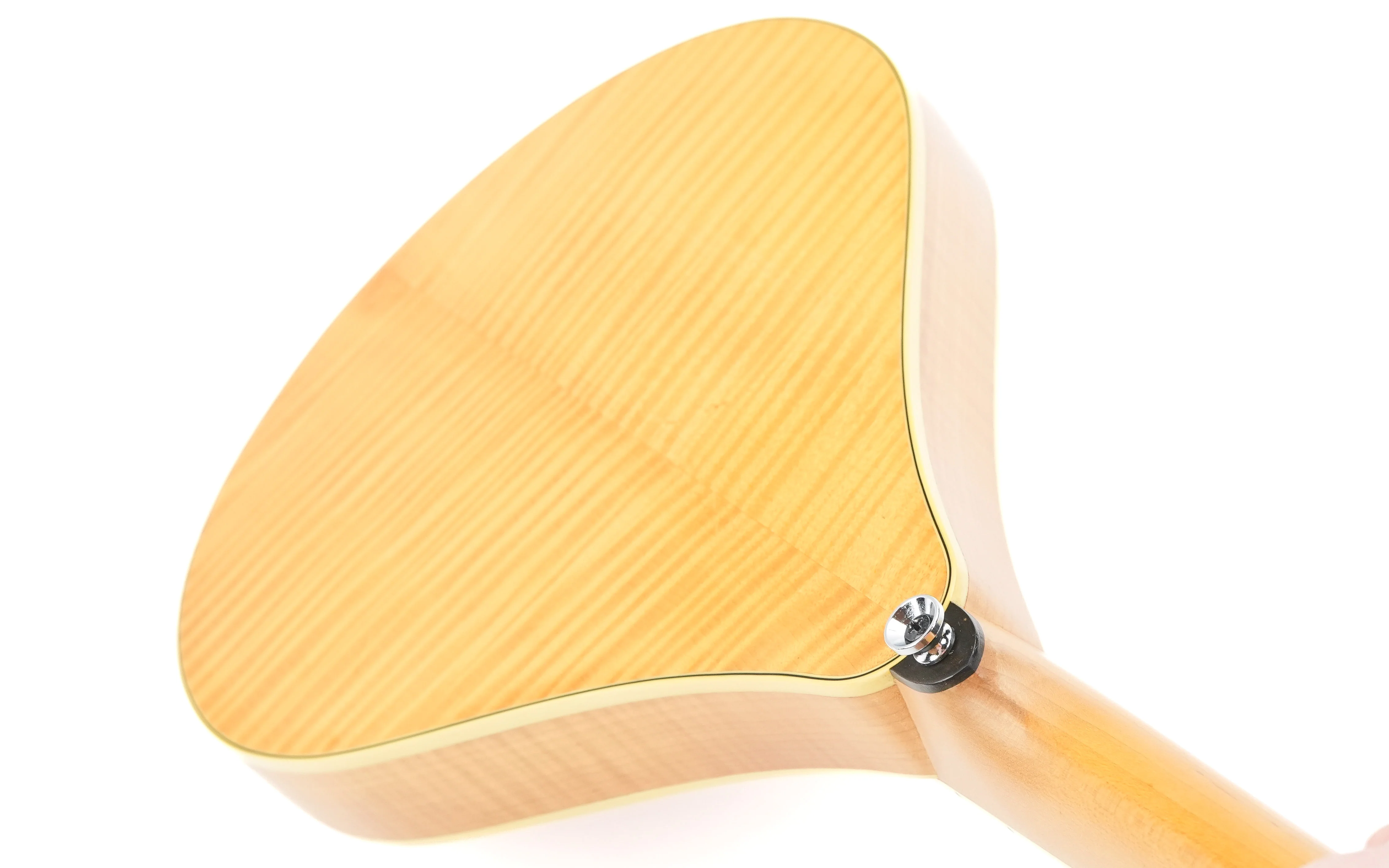 Weber Aspen #2 Folk Mandolin 1998 - Image 9
